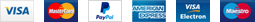 Visa Mastercard PayPal American Express Visa Electron Maestro